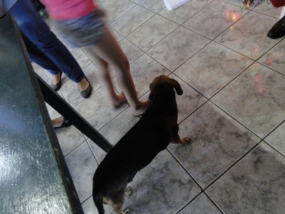 Festa de Natal 2014