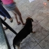 Festa de Natal 2014
